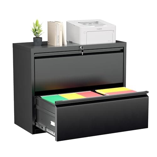 Greenvelly 2-Drawer Lateral File Cabinet (KK0029)