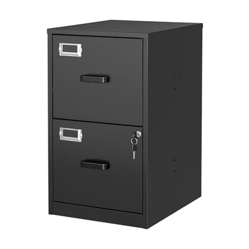 BYNSOE 2-Drawer Vertical File Cabinet, Steel