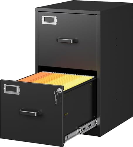 SISESOL 2-Drawer Narrow Vertical File Cabinet