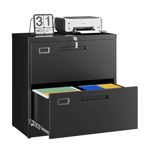 Letaya 2-Drawer Lateral File Cabinet, 28.35 in Wide