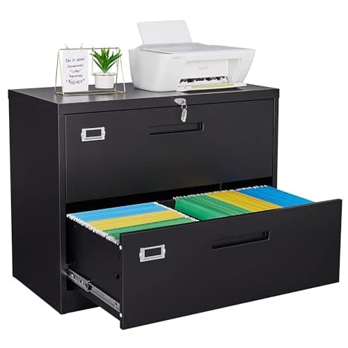 Letaya 2-Drawer Lateral File Cabinet, 36 in Wide (A1)
