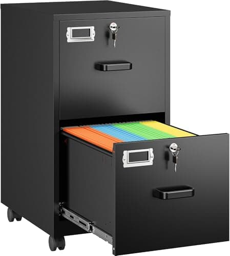 SISESOL 2-Drawer Rolling File Cabinet with Lock