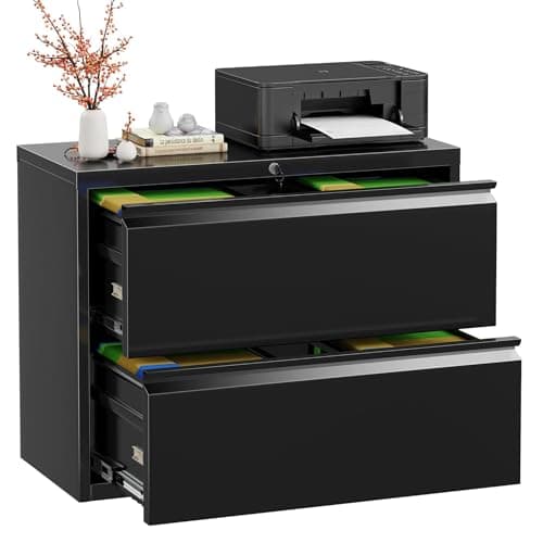 INTERGREAT 2-Drawer Lateral File Cabinet (LFC001)