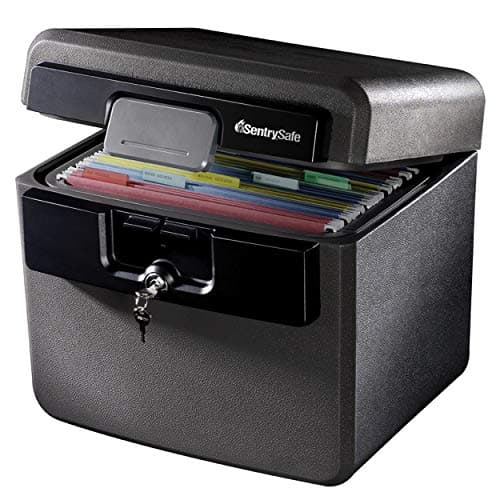 SentrySafe Fireproof and Waterproof Document Box (HD4100)